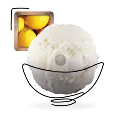 Citrom sorbet 'Plein Fruit' 2.5L