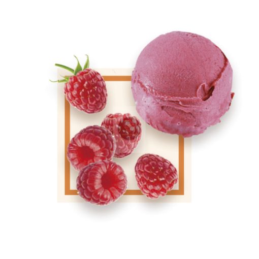 Málna sorbet 'Plein Fruit' 2.5L