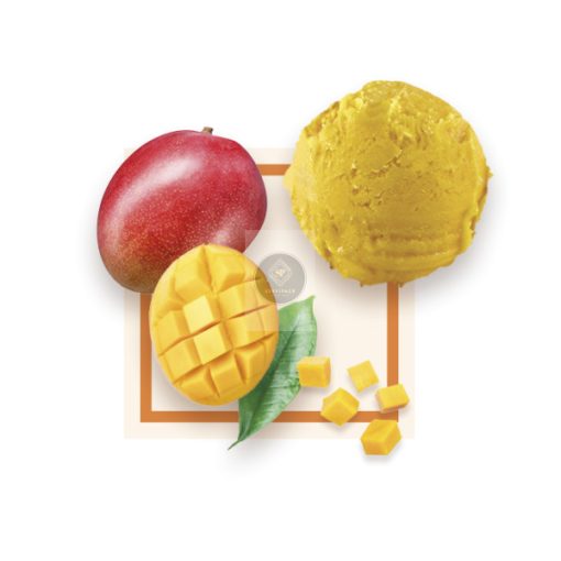 Mangó sorbet 'Plein Fruit' 2.5L